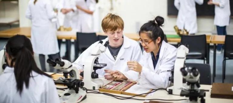 Pathology for Medical Students
