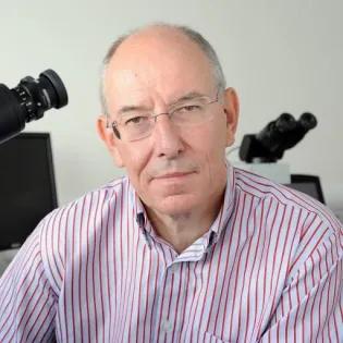 Professor Alistair Williams